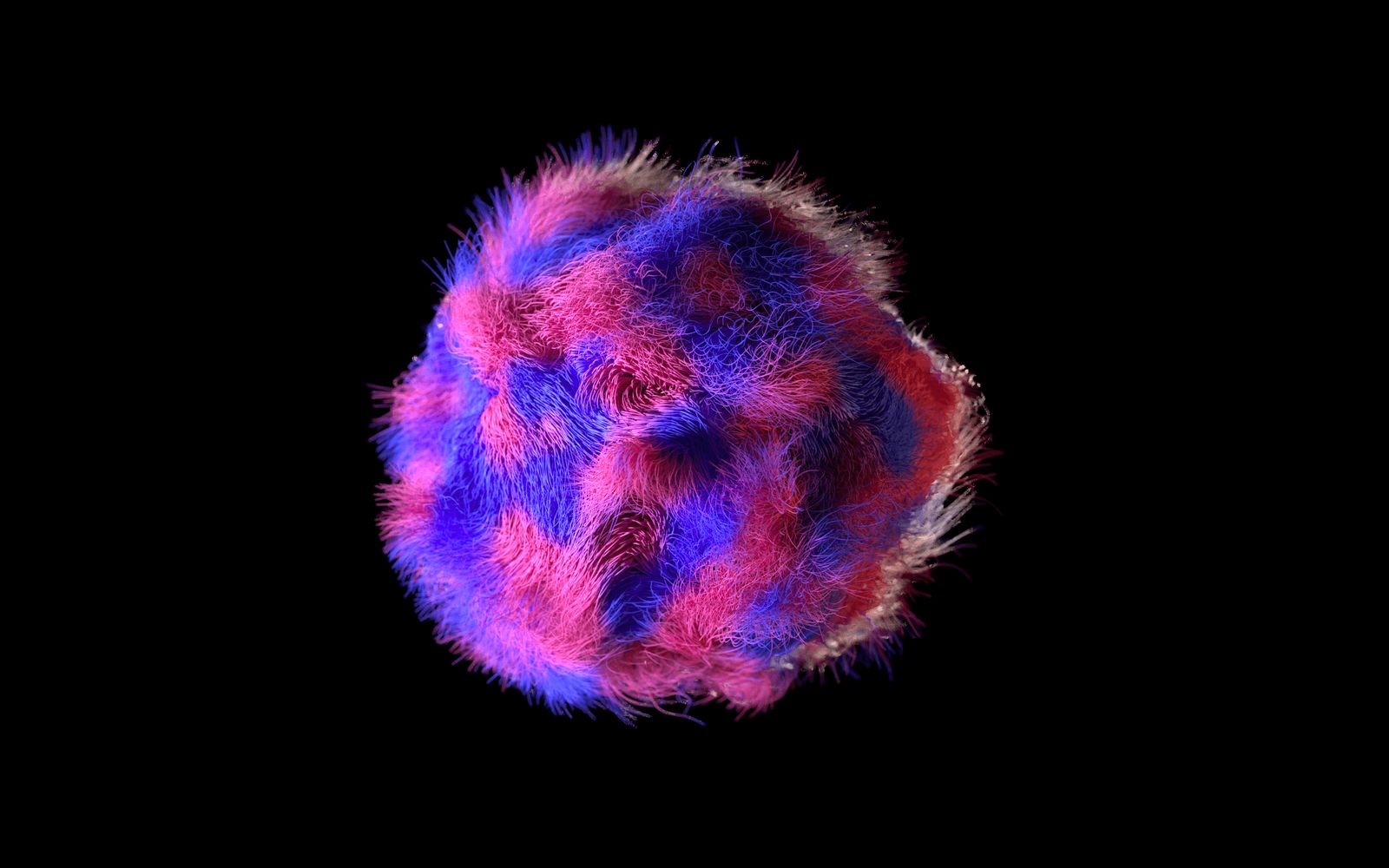Fuzzy Magenta